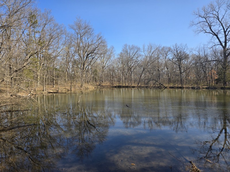 Wayne County, IA 83+/- primary image